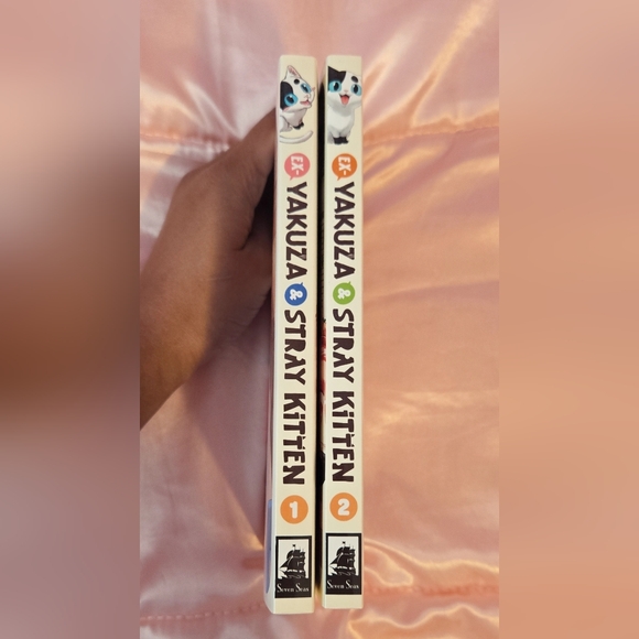 Ex-Yakuza & Stray Kitten Mango vol.1-2 - Picture 3 of 3